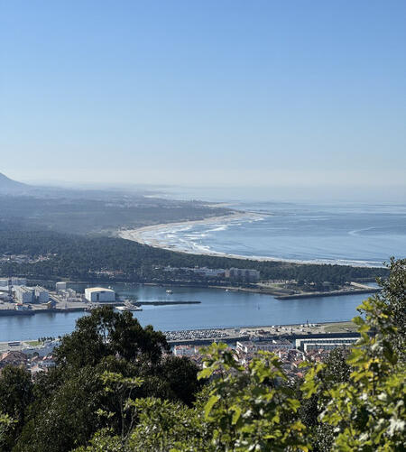 view over portugals coast with waves